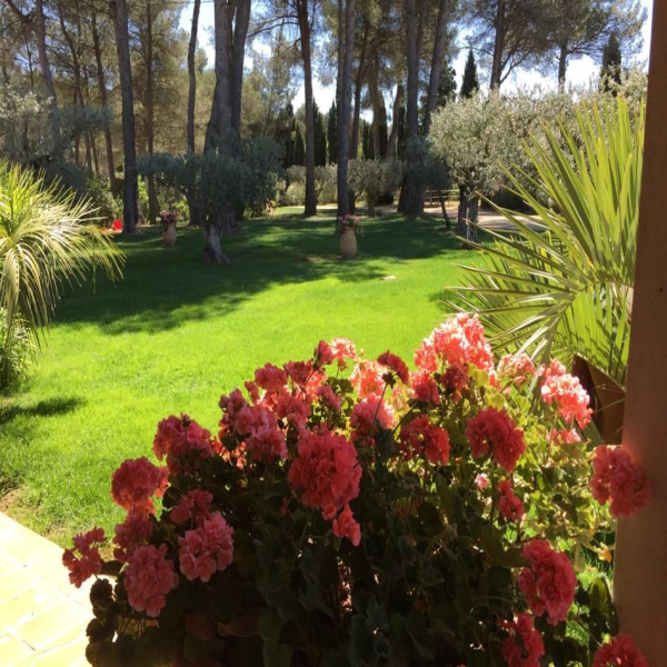 Offres de vente Propriete Saint-Rémy-de-Provence 13210